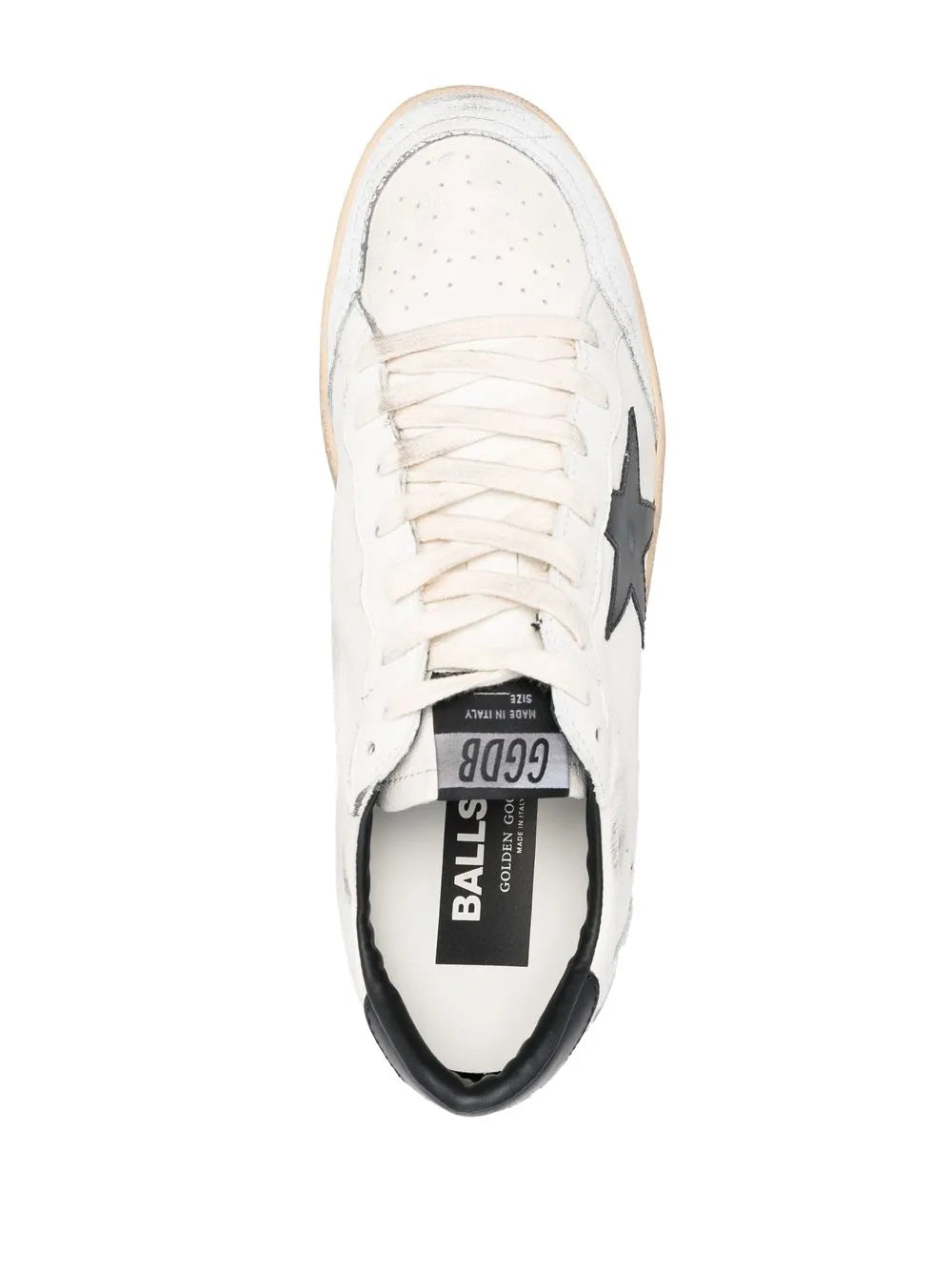 Golden Goose